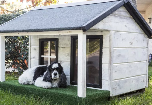 Outdoor Dog Kennels: Advantages And Choosing The One For You