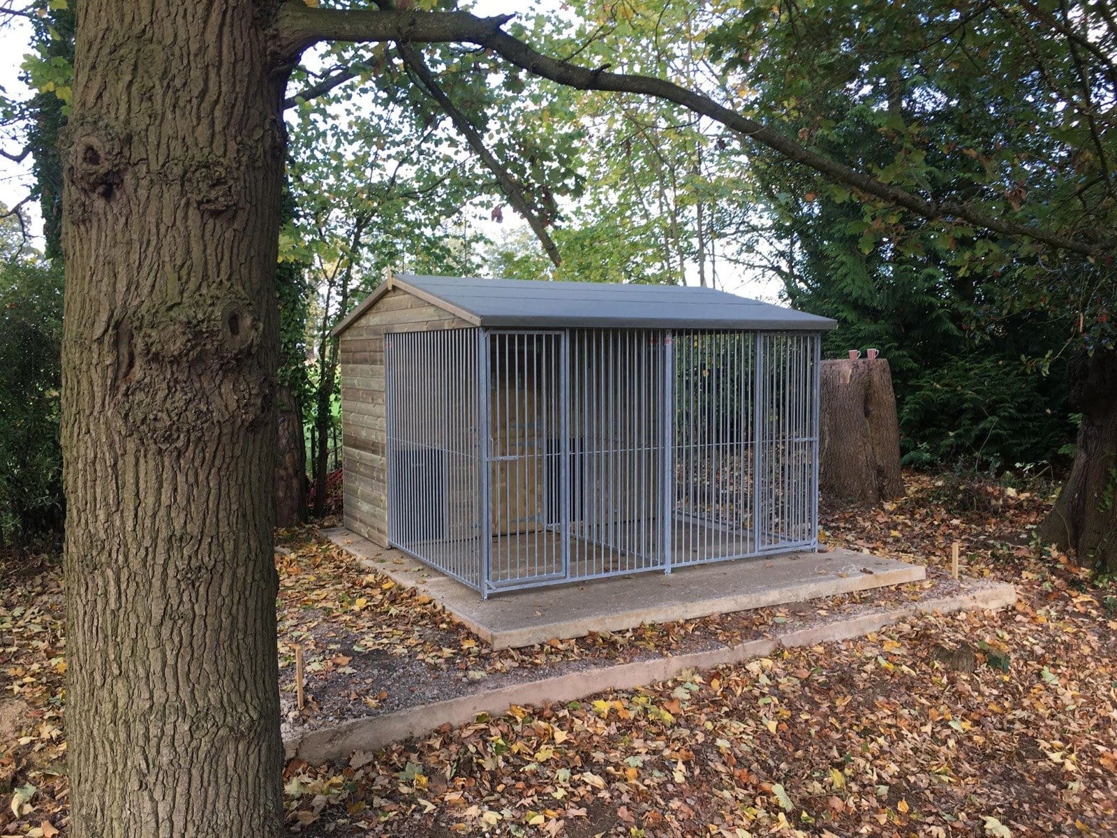 Cheap large dog kennels for sale best sale