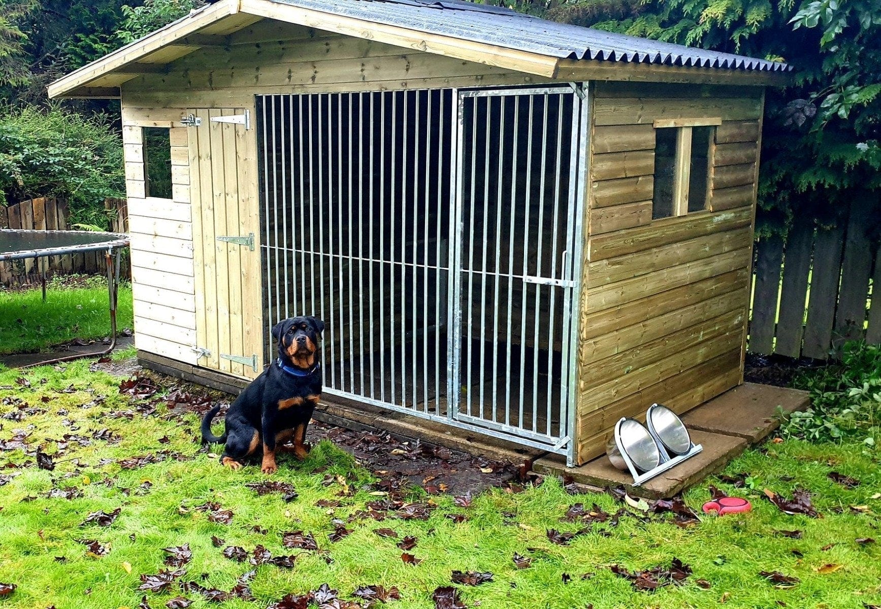 wooden dog kennel and run