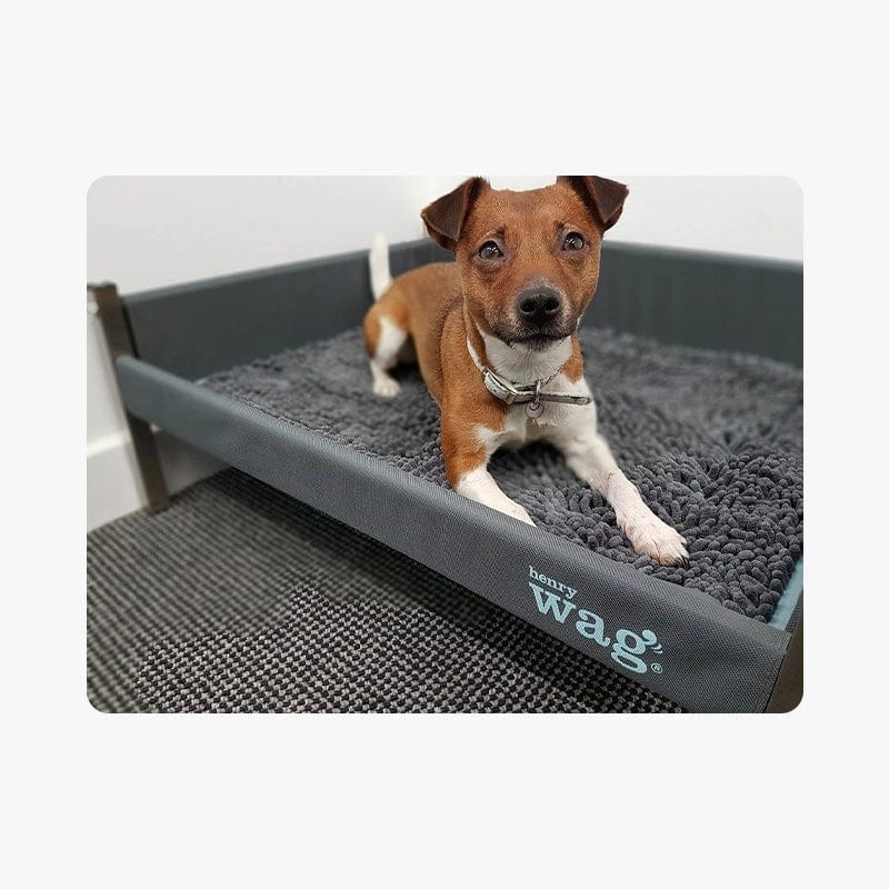 raised dog bed