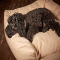 Load image into Gallery viewer, Trojan Waterproof Cosy Dog Bed
