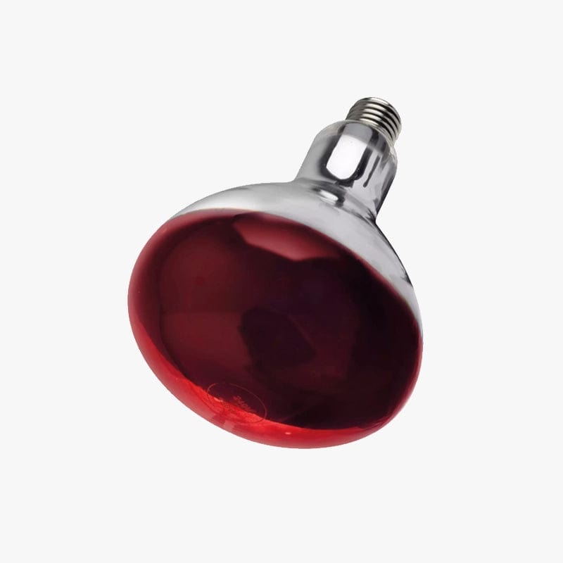 Infra Red Bulbs