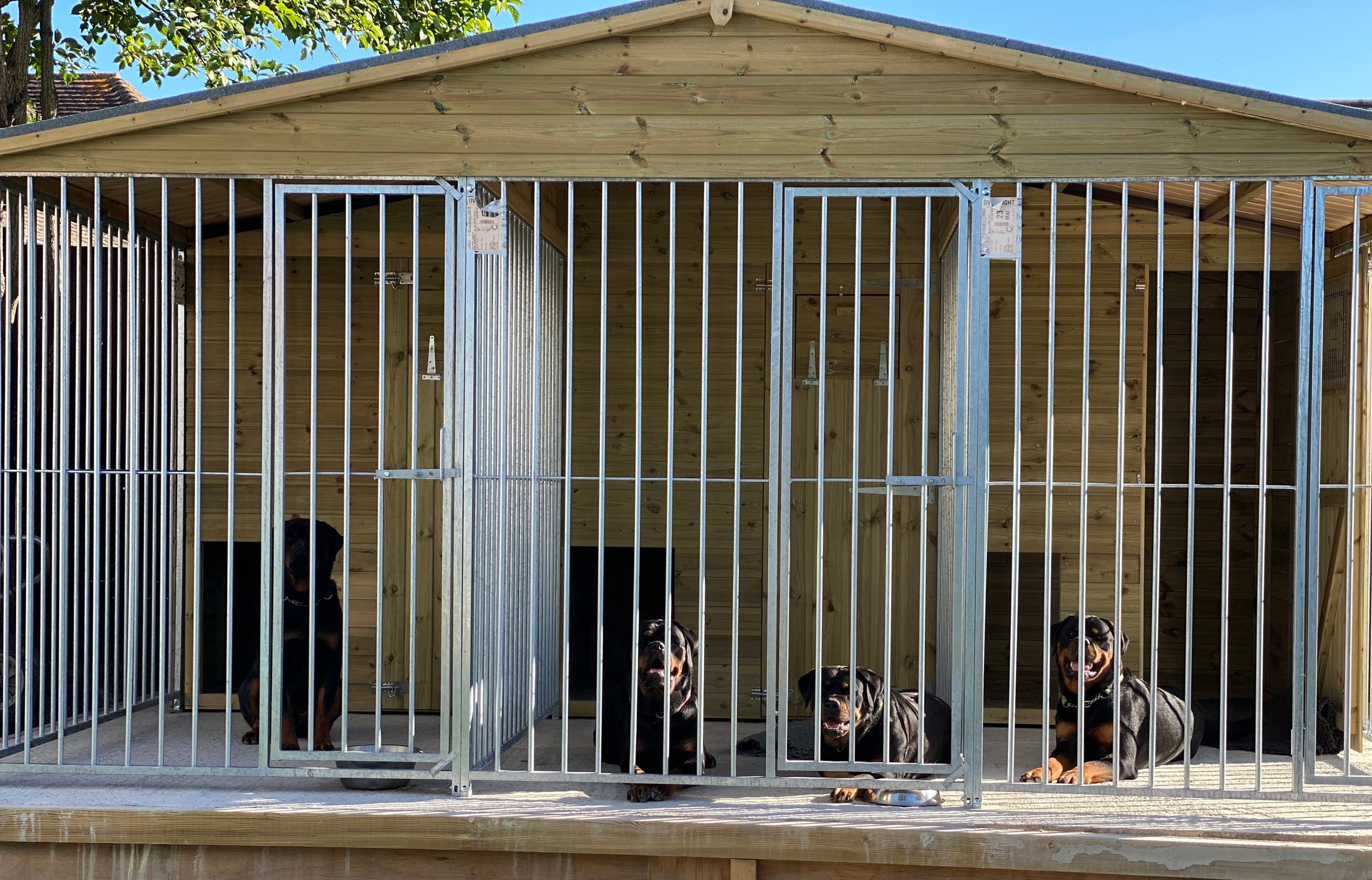 multiple wooden dog kennel and run