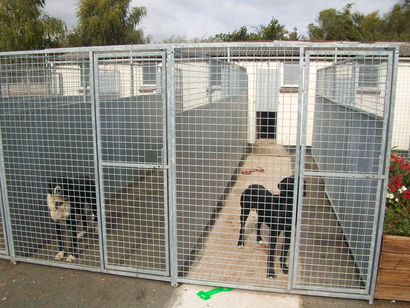 Fence panels for outlet dog run