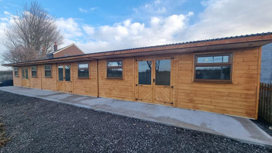 whelping wooden dog kennel block